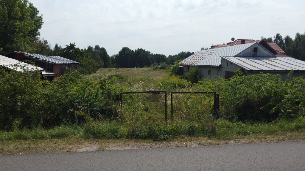Zdjęcie 9