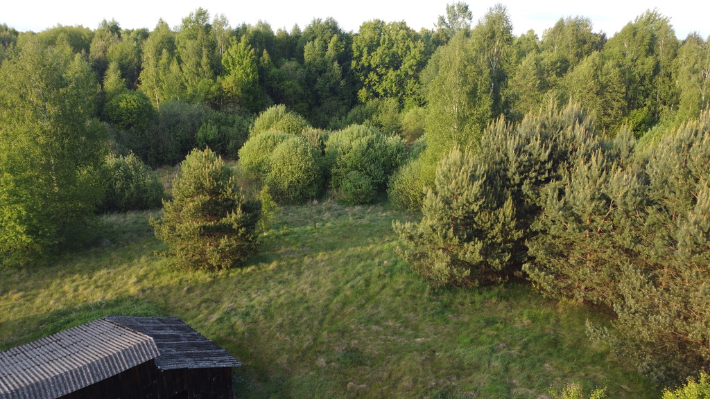 Nietypowa działka 2 ha w Kawęczynie gm. Ciepielów