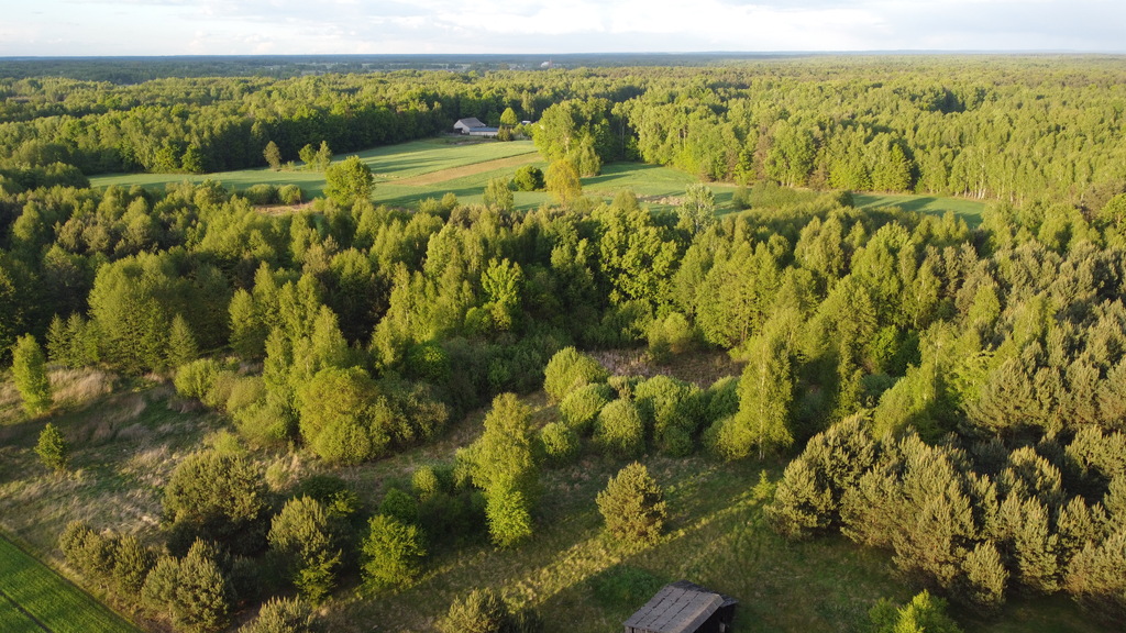 Zdjęcie 12