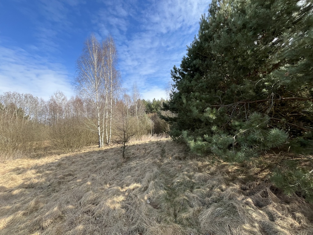 Zdjęcie 13