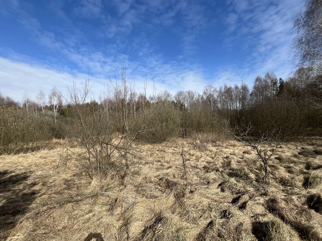Zdjęcie 14