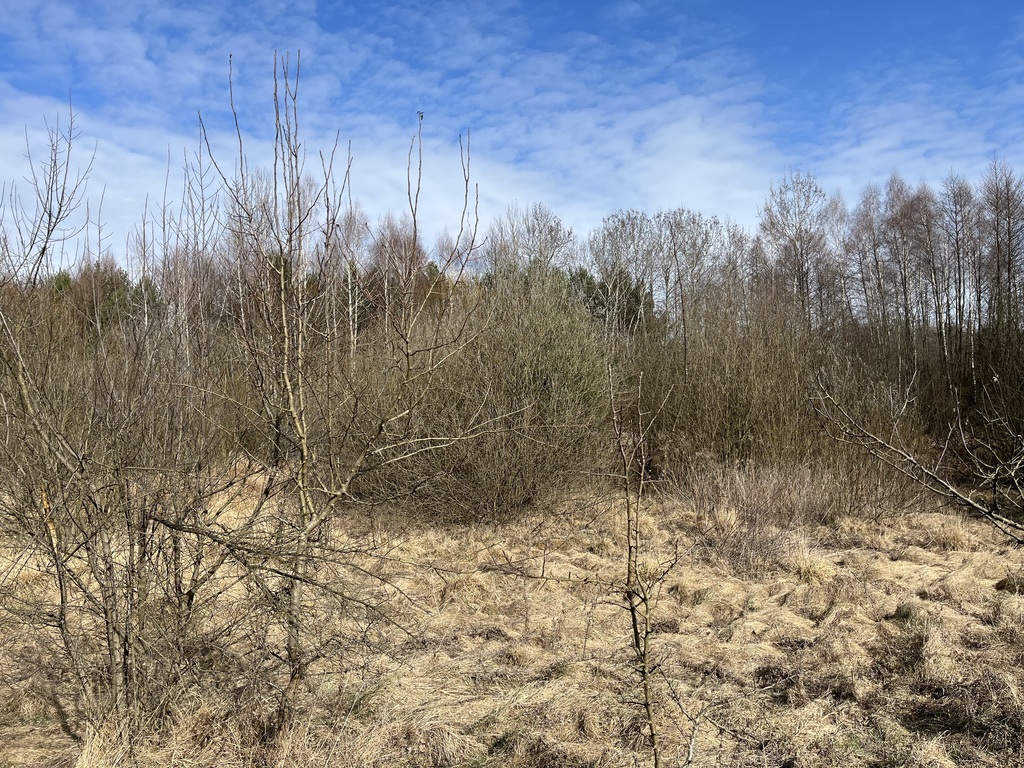 Zdjęcie 15
