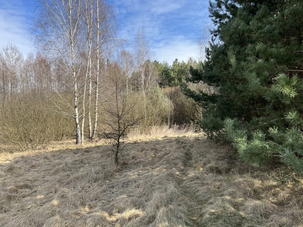 Zdjęcie 16