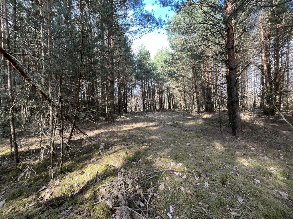 Zdjęcie 18