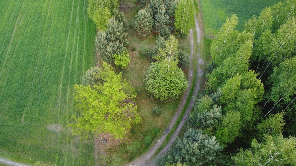 Działka o pow. 1,63 ha w Karolowie gm. Chotcza.