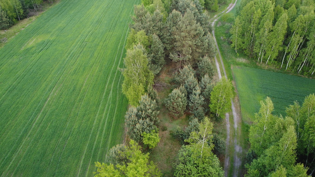 Zdjęcie 11