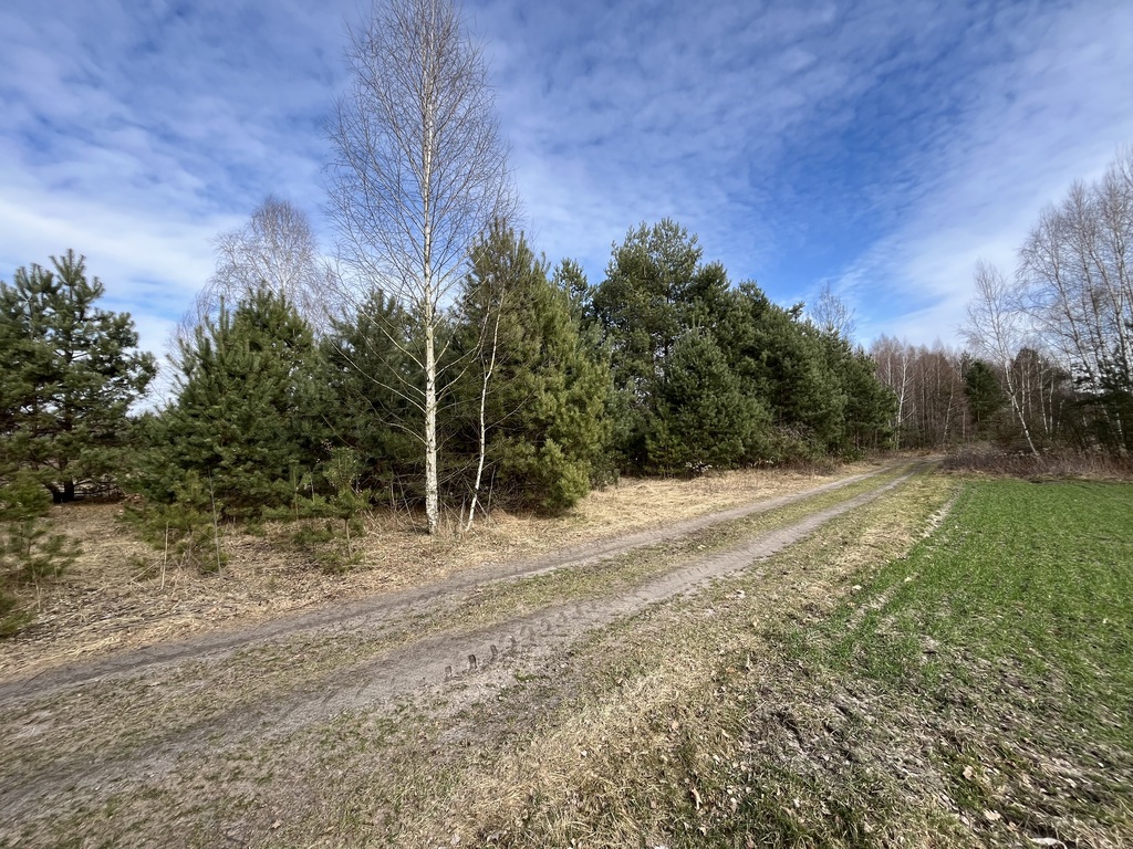 Zdjęcie 12