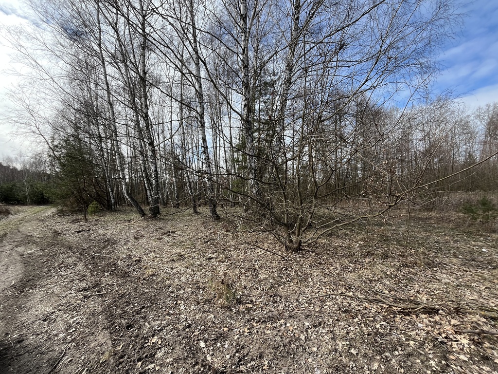 Zdjęcie 17