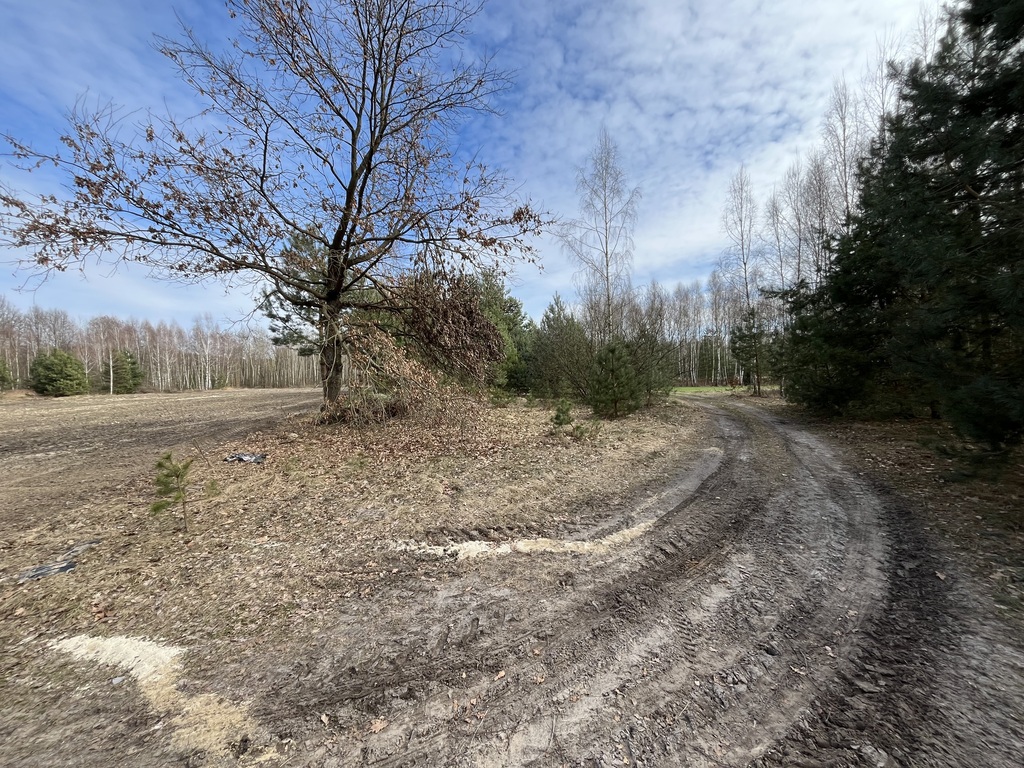 Zdjęcie 18