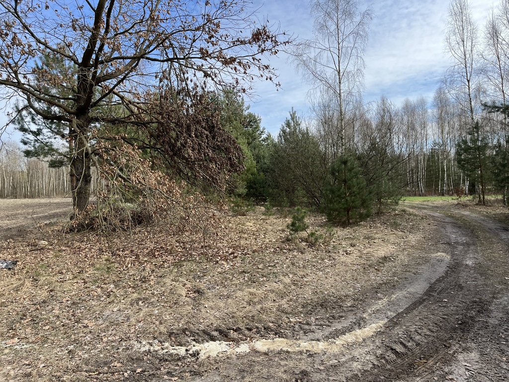 Zdjęcie 19