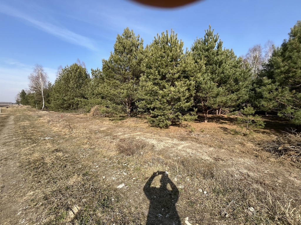 Zdjęcie 8