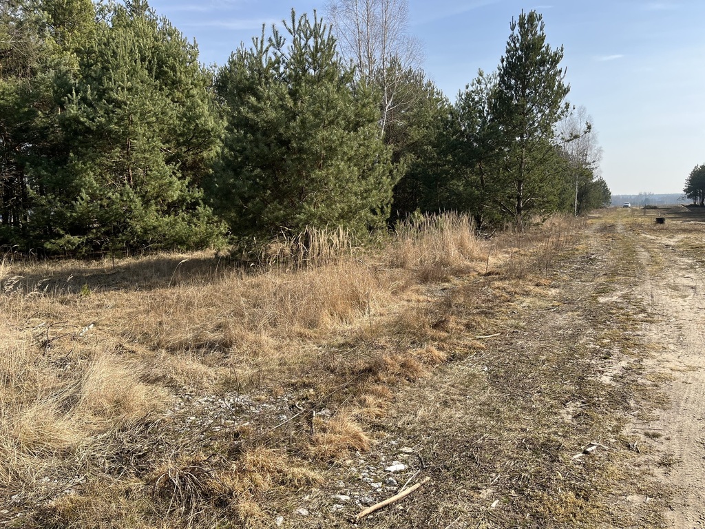 Zdjęcie 9