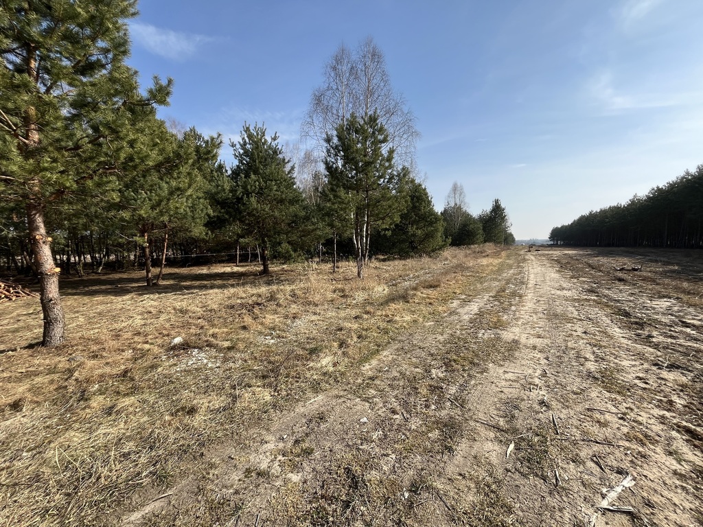 Zdjęcie 13
