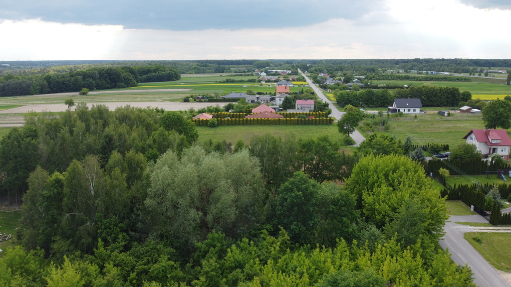 Zdjęcie 10
