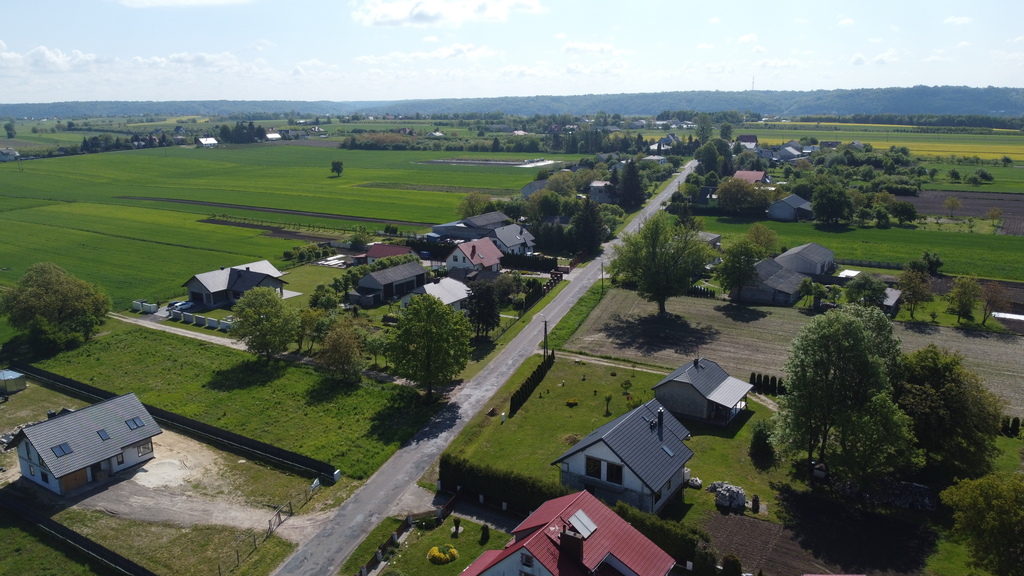 Zdjęcie 10