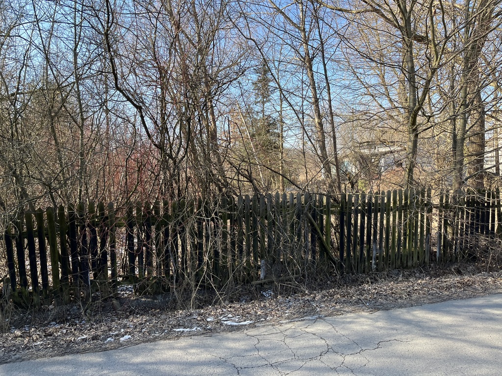 Zdjęcie 11