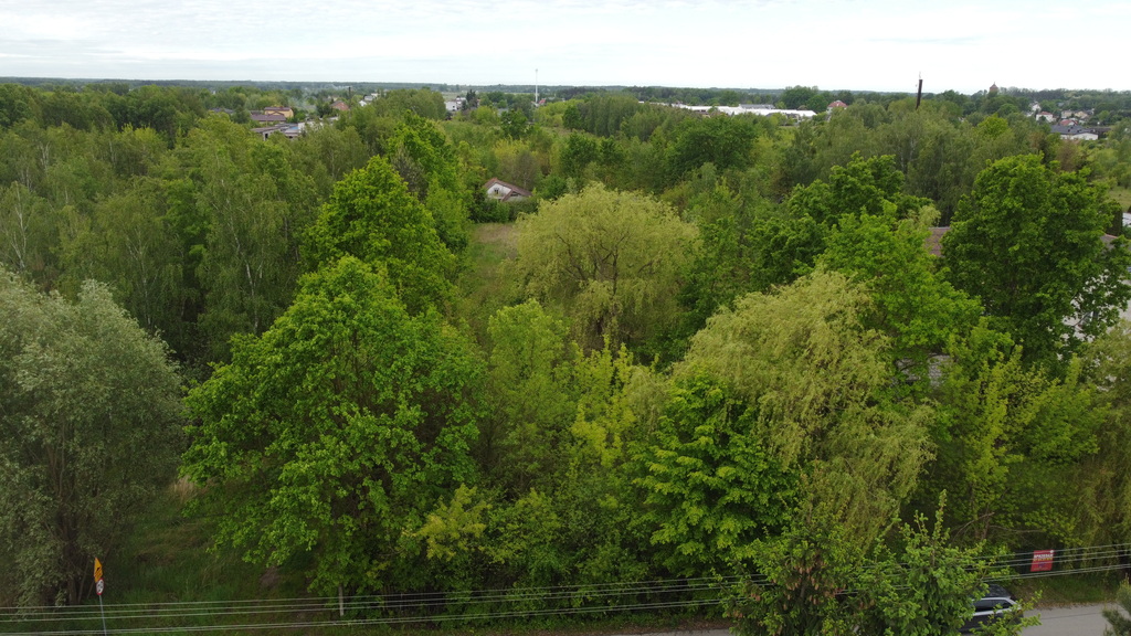Zdjęcie 13