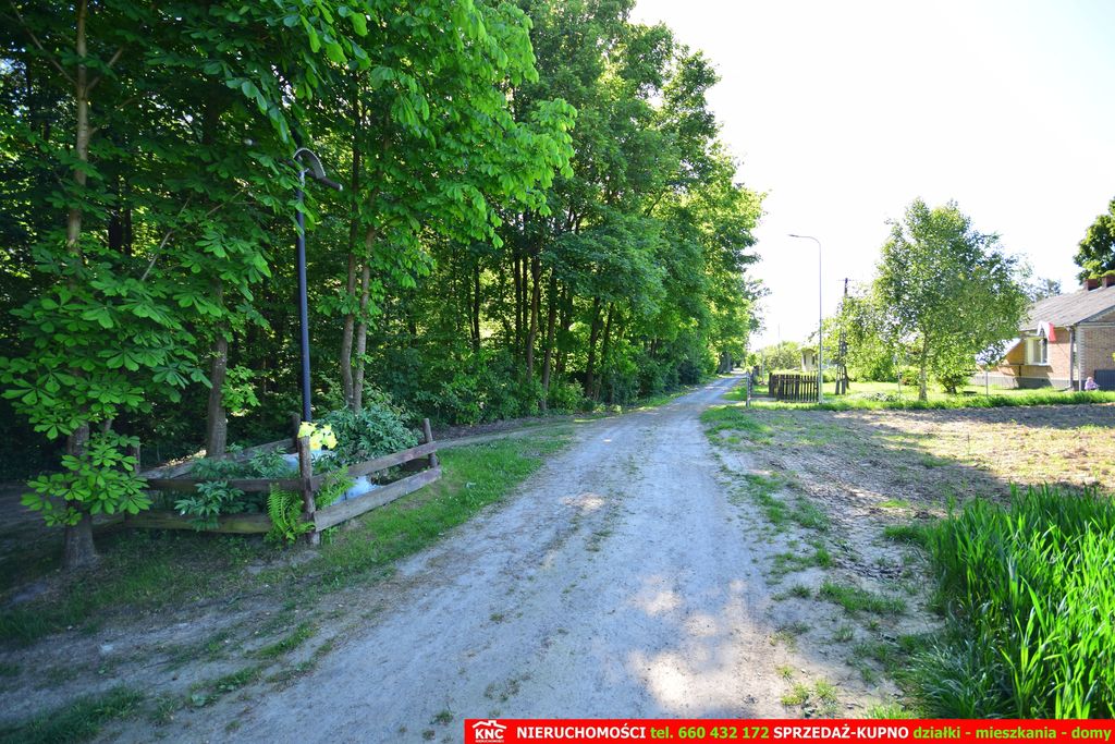 Zdjęcie 9