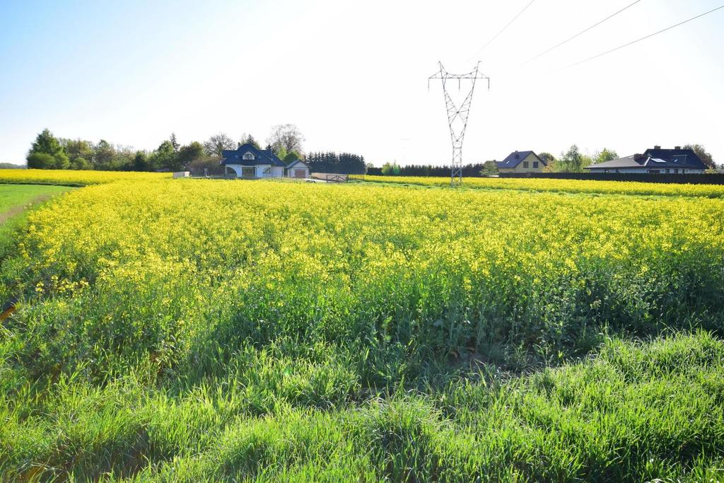 Działka budowlana 1 146 m², Radawiec Mały