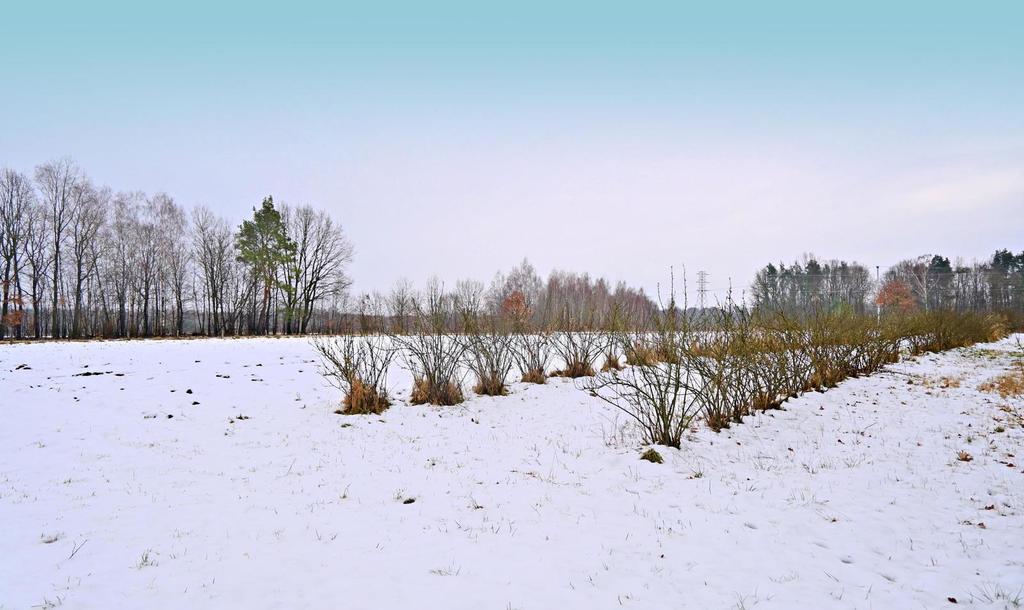 Działka budowlana 1 620 m², Kazimierz Dolny