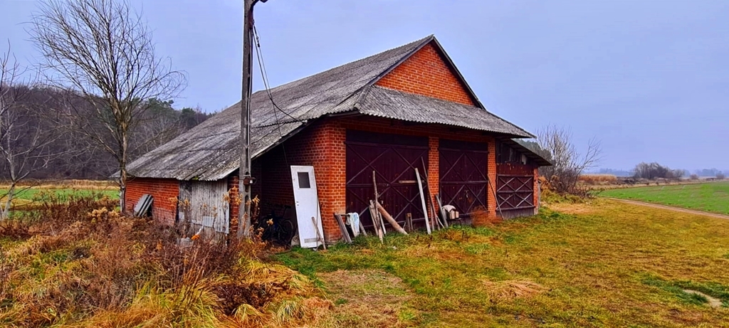Zdjęcie 2