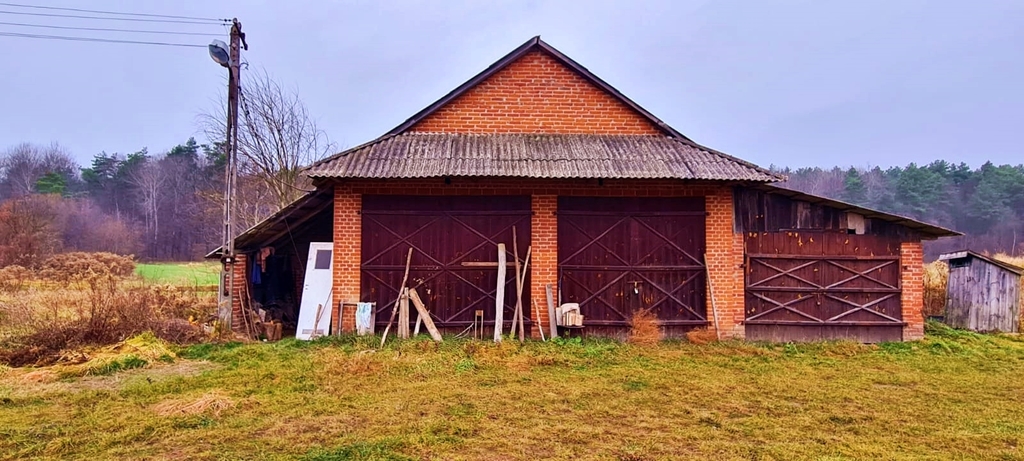Zdjęcie 5