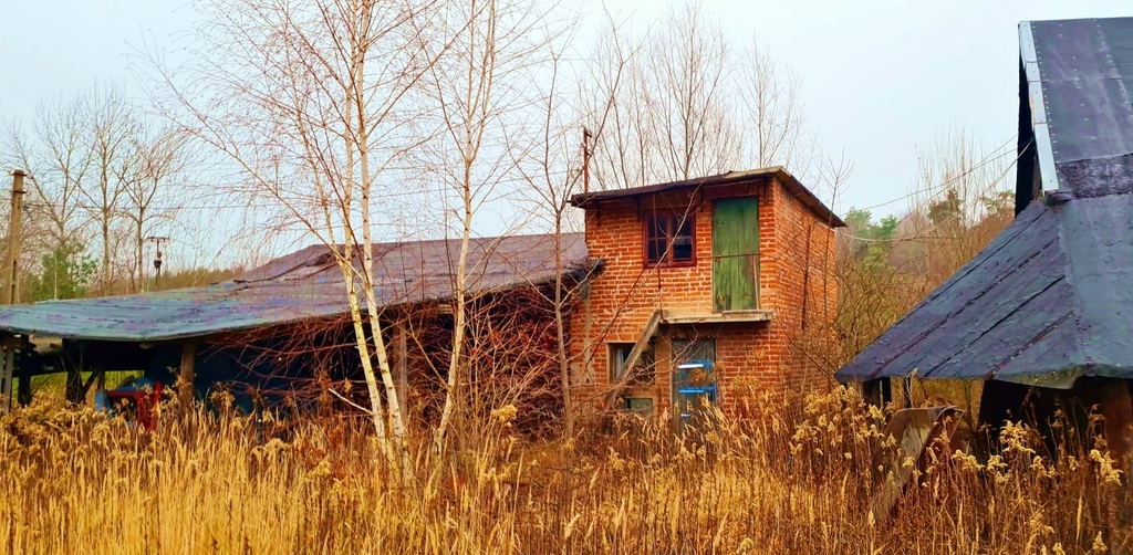 Zdjęcie 7