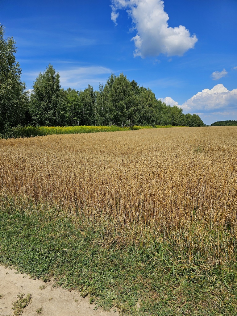 Zdjęcie 5