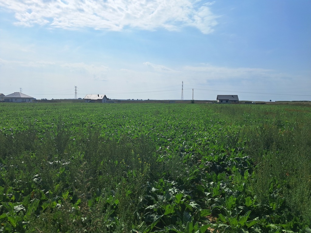 Działka budowlana 1 594 m², Turowola-Kolonia