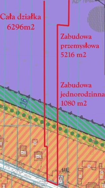 Zdjęcie 2