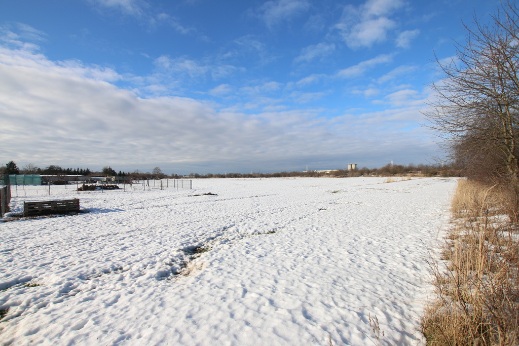 Zdjęcie 12