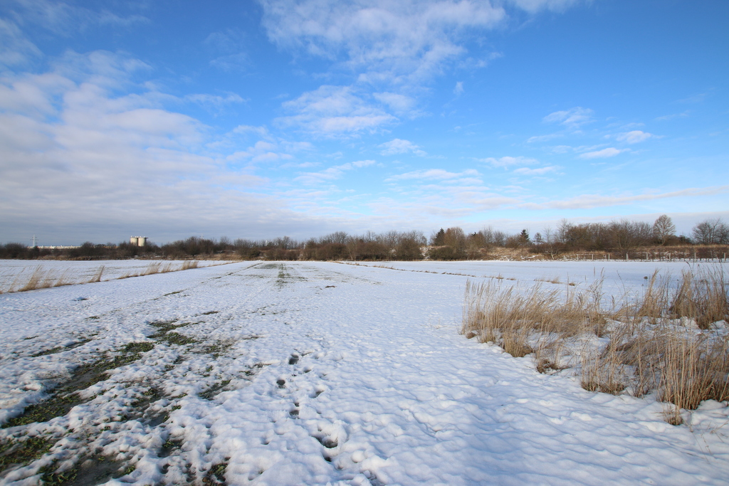 Zdjęcie 15
