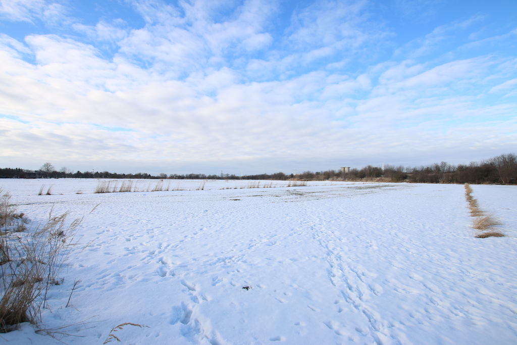 Zdjęcie 16