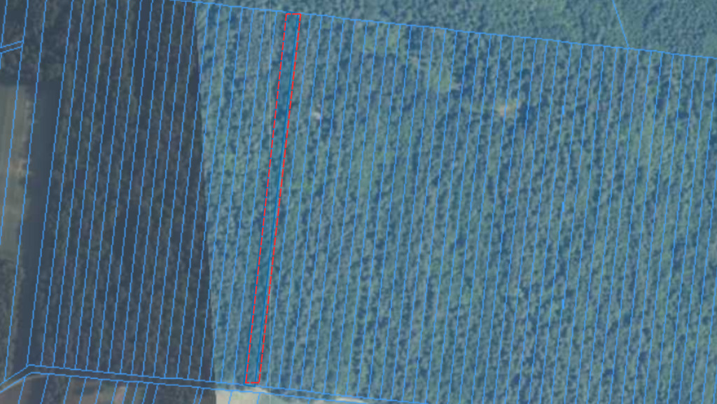 Działka leśna, 0.61ha, drzewostan 50+, Spiczyn