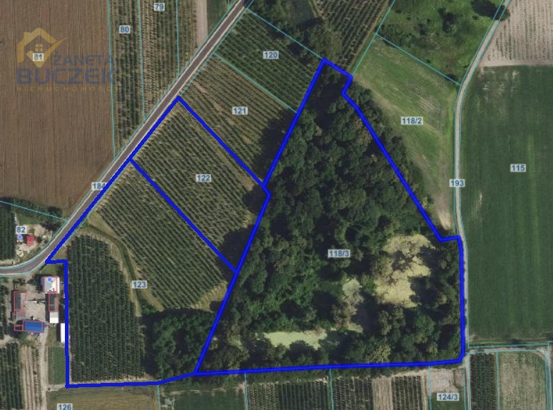 Sprzedam 6,5 ha ziemi w miejscowości Sadowo