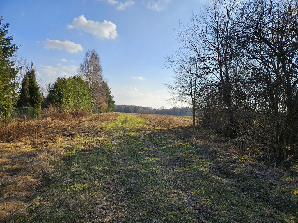 Zdjęcie 4