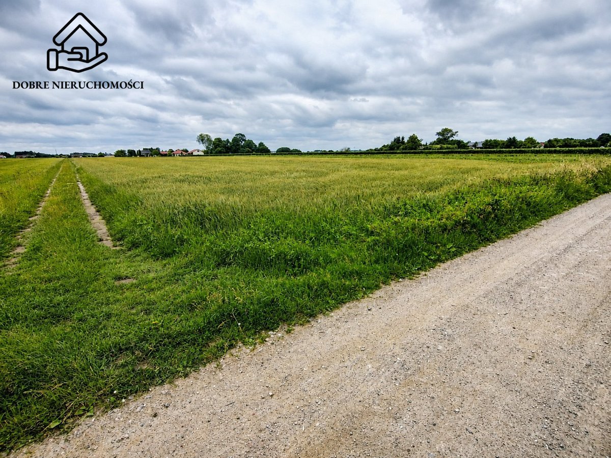 Działka budowlana 3 000 m², Siedliska