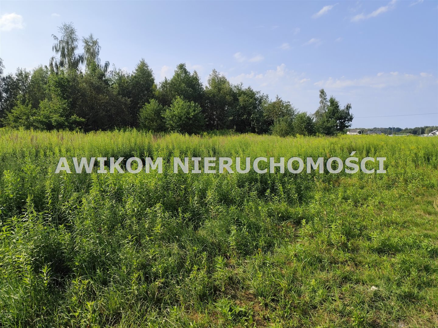 Działka budowlana i inwestycyjna 2 000 m², Słubica B