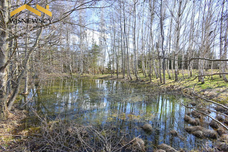 Zdjęcie 5