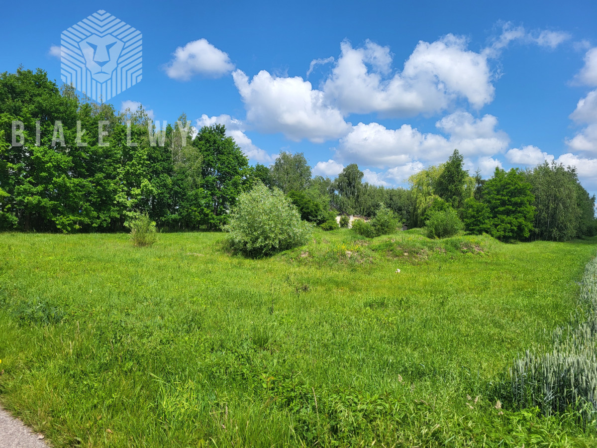 Działka 6400 m² sprzedaż Elżbietów, gmina Teresin