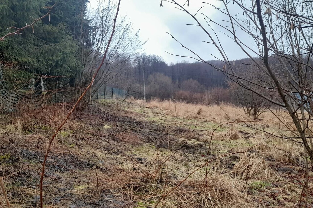Zdjęcie 8
