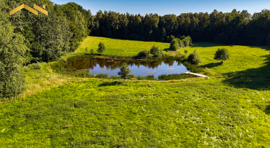 Zdjęcie 12