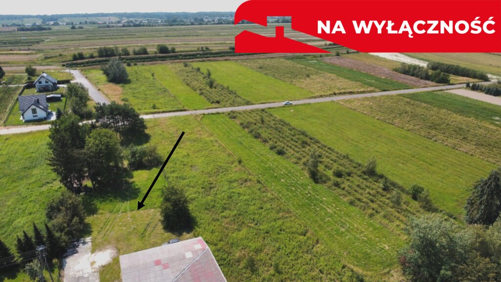 Zdjęcie 5