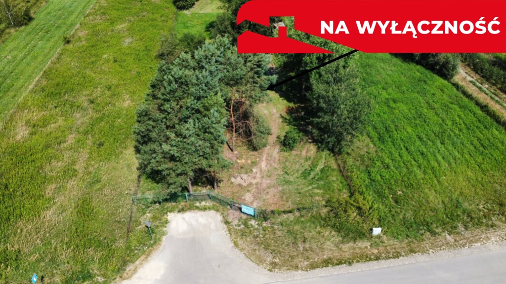 Zdjęcie 7