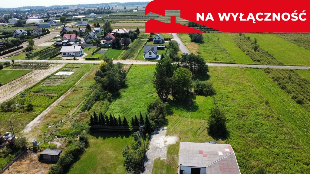 Zdjęcie 8