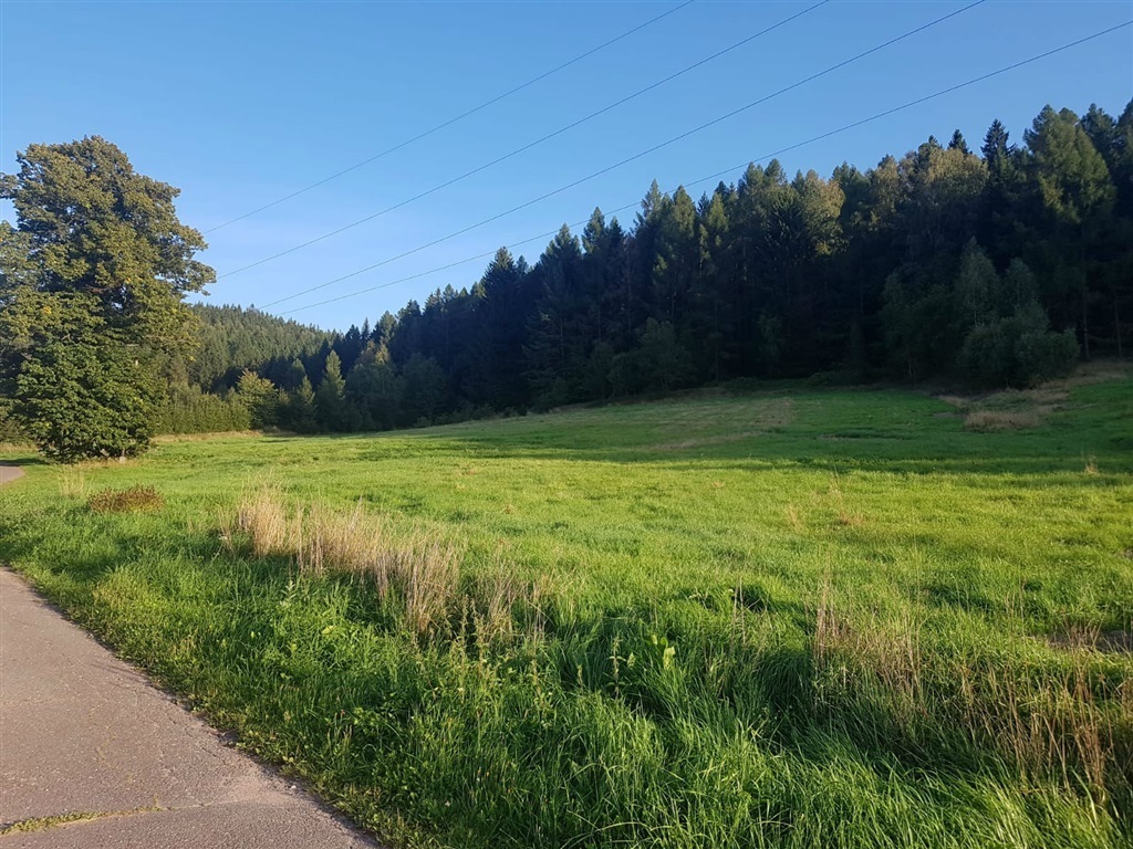 Rolno-budowlana działka w Grzędach (mpzp).