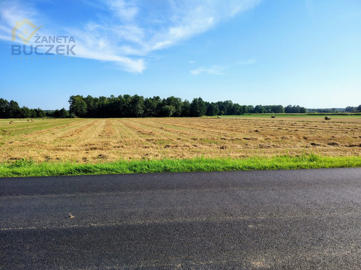 Sprzedam ziemię rolną 9,867 ha w Januszewie
