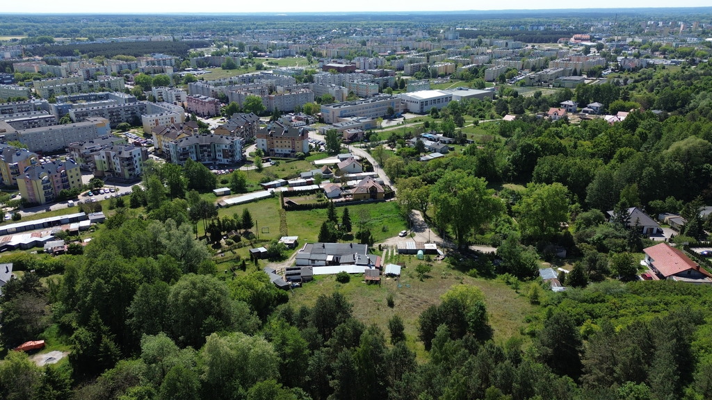Zdjęcie 6
