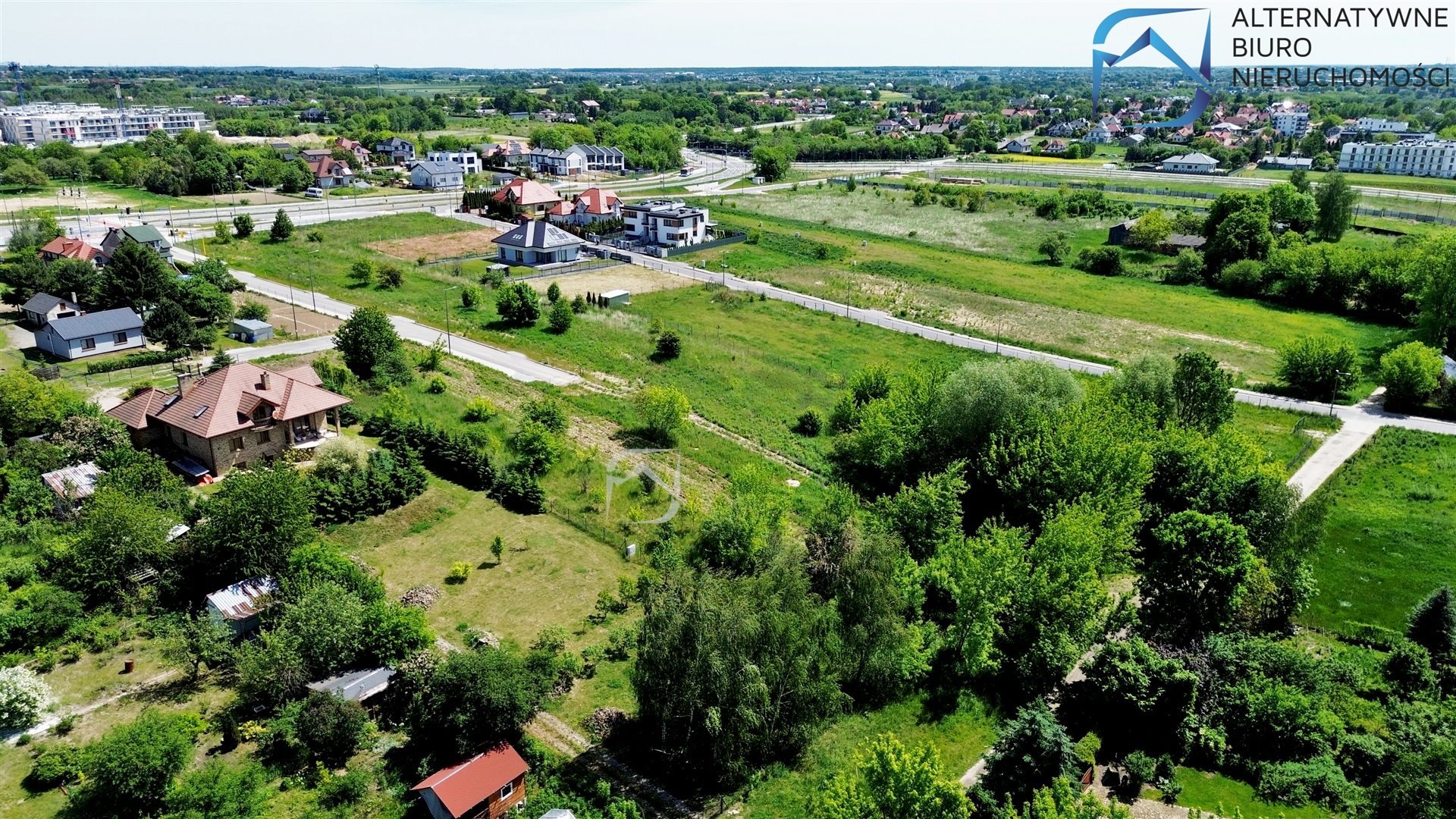Zdjęcie 11