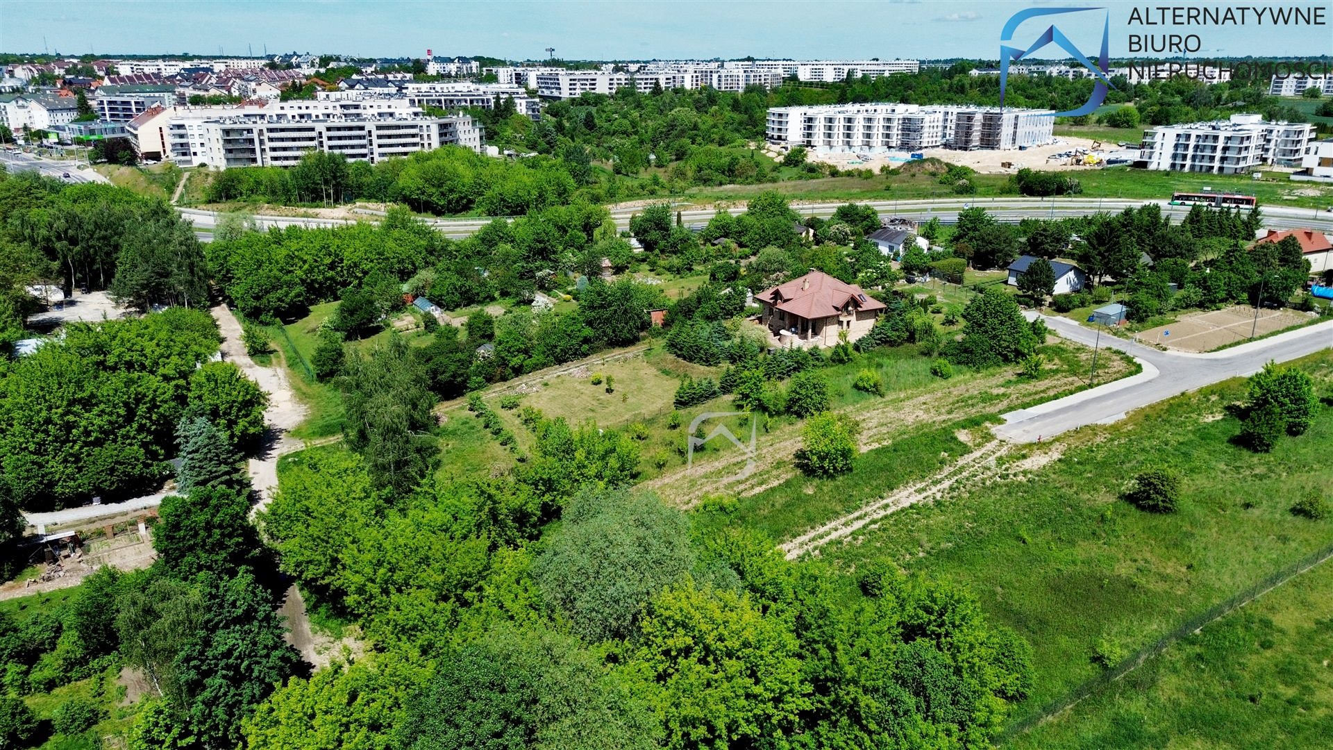 Zdjęcie 12